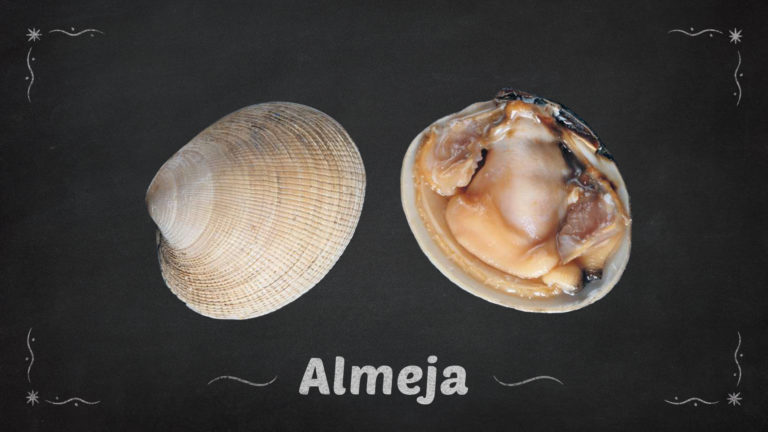 Almeja