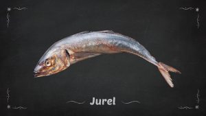 Jurel