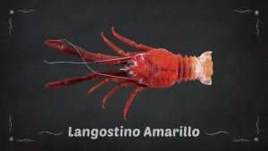Langostino Amarillo