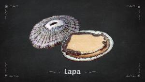 Lapa