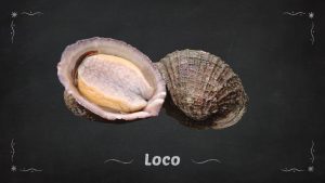 Loco