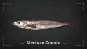Merluza Común