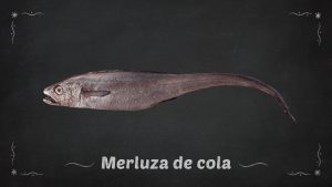 Merluza de cola
