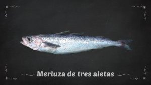 Merluza de tres aletas