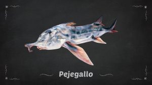 Pejegallo