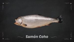 Salmón Coho