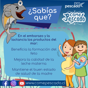 Come Pescado