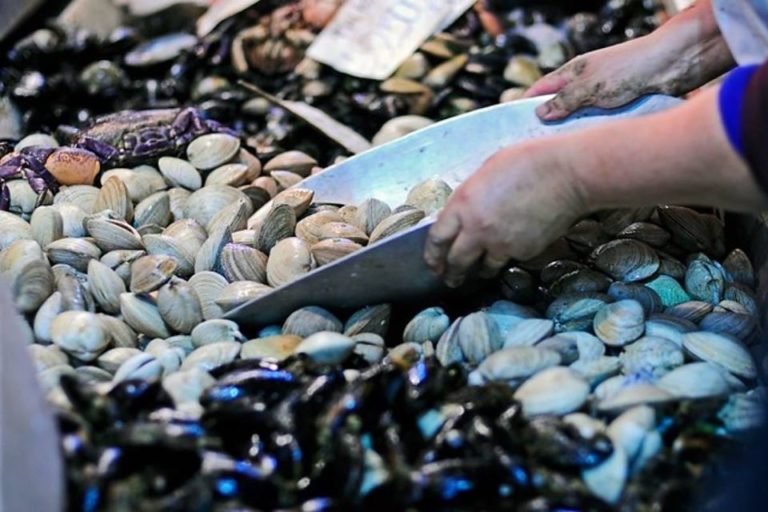 ¿Los mariscos aumentan el colesterol?