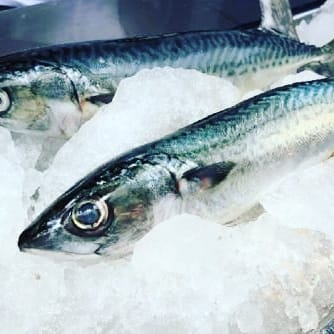 ¿El pescado congelado pierde sus nutrientes?