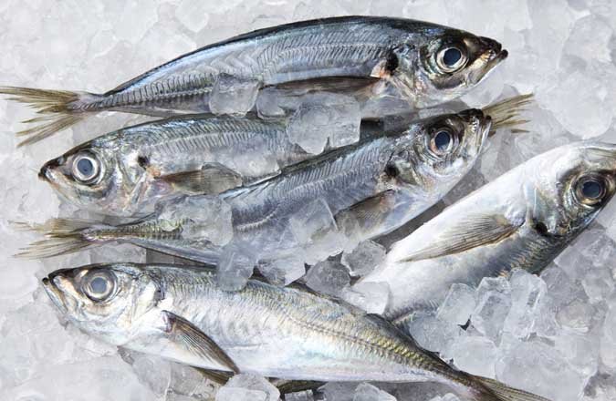 Como congelar pescado de manera sencilla